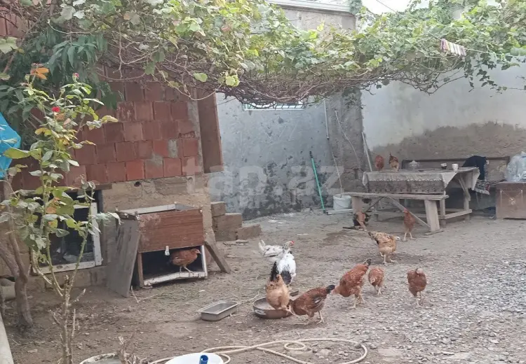 1 otaqlı mənzil , Bakı