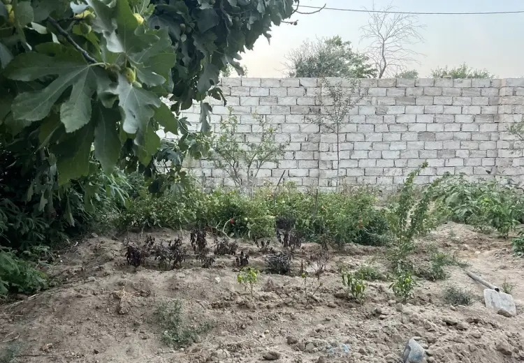 0 m² Obyekt / Ofis , Albalı qəs., Sabunçu, Bakı