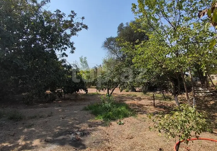 5 otaqlı mənzil , Şirvan