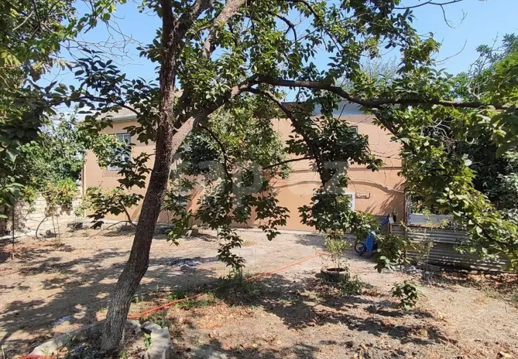 5 otaqlı mənzil , Şirvan