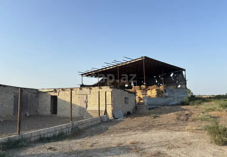 0 m² Obyekt / Ofis , Neftçala
