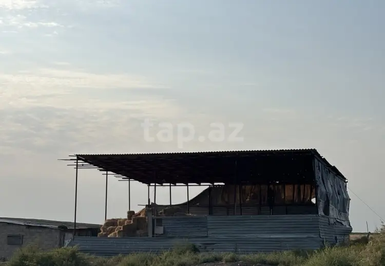 0 m² Obyekt / Ofis , Neftçala