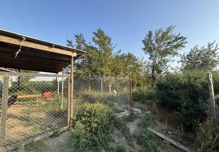 0 m² Obyekt / Ofis , Neftçala