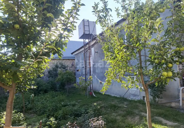 4 otaqlı mənzil , Şəki