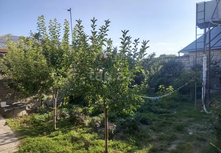 4 otaqlı mənzil , Şəki