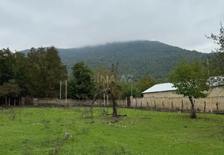 4 sot Torpaq Satılır, Qəbələ
