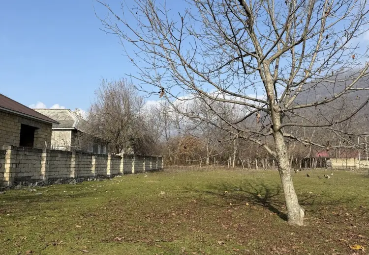 4 sot Torpaq Satılır, Qəbələ