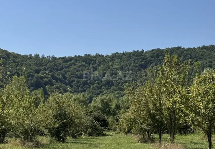 105 sot Torpaq Satılır, Qəbələ