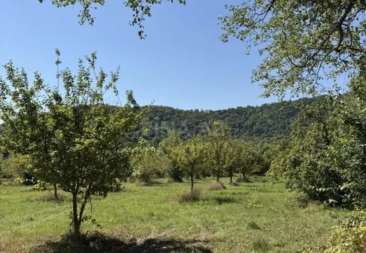105 sot Torpaq Satılır, Qəbələ