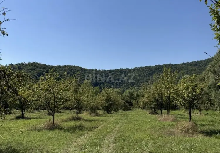 105 sot Torpaq Satılır, Qəbələ