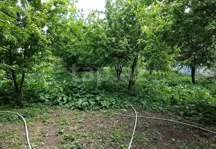 0 m² Obyekt / Ofis , İsmayıllı