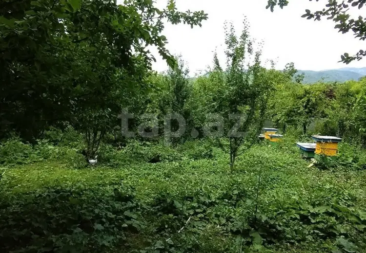 0 m² Obyekt / Ofis , İsmayıllı