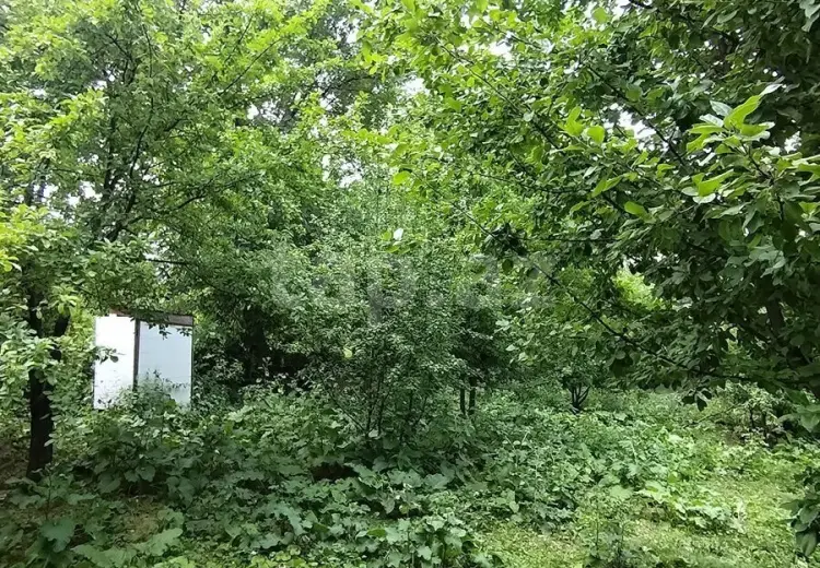 0 m² Obyekt / Ofis , İsmayıllı