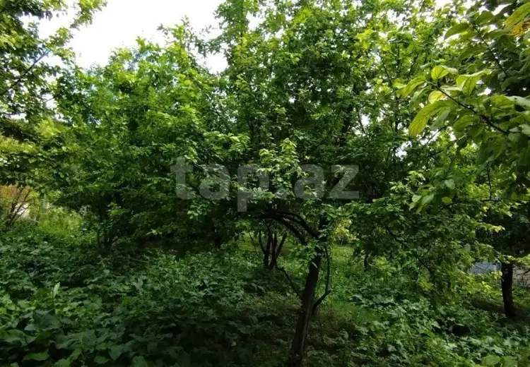 0 m² Obyekt / Ofis , İsmayıllı