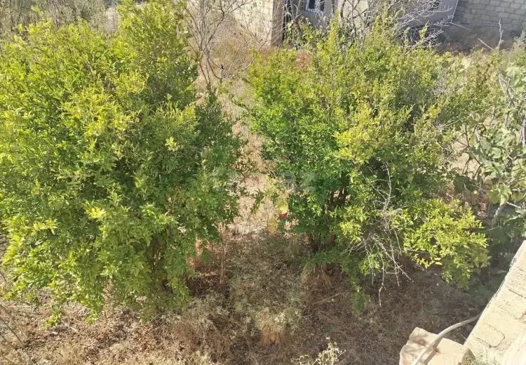 6 otaqlı mənzil , Sumqayıt