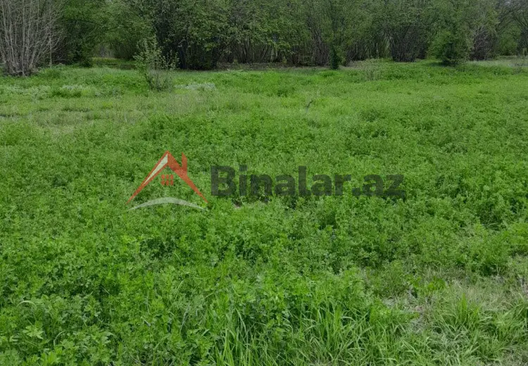 150 sot Torpaq Satılır, Göyçay
