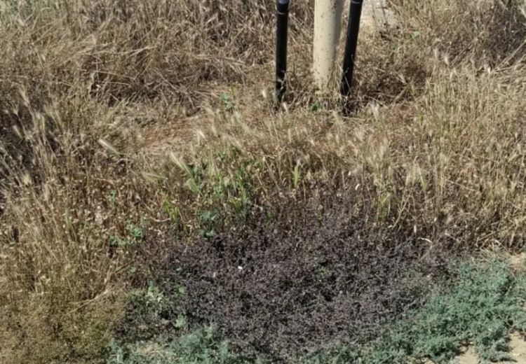 3 sot Torpaq Satılır, Bahar qəs., Suraxanı, Bakı