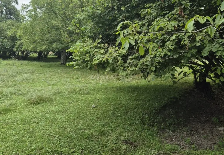 4 sot Torpaq Satılır, Qəbələ