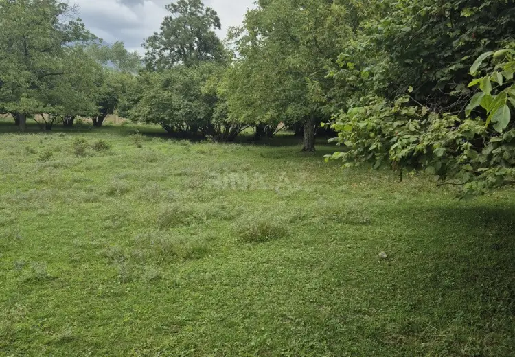 4 sot Torpaq Satılır, Qəbələ