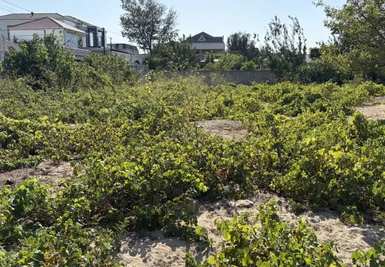 28 sot Torpaq Satılır, Bilgəh qəs., Sabunçu, Bakı