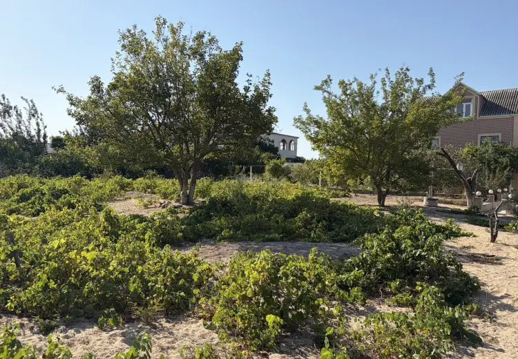 28 sot Torpaq Satılır, Bilgəh qəs., Sabunçu, Bakı