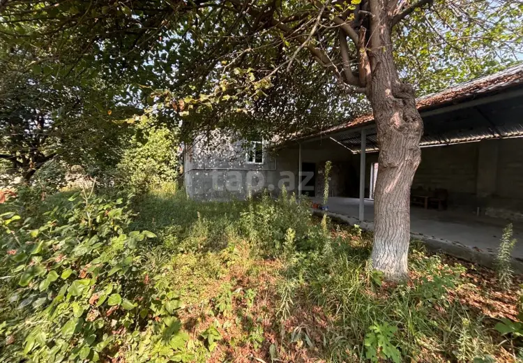 3 otaqlı mənzil , Qəbələ