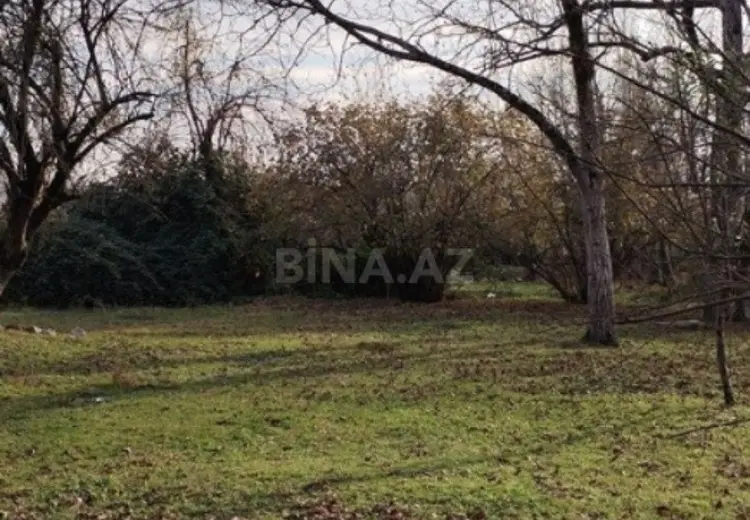 30 sot Torpaq Satılır, Qəbələ