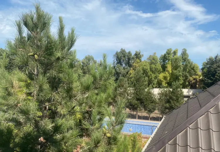 60 sot Torpaq Satılır, Mərdəkan, Xəzər, Bakı