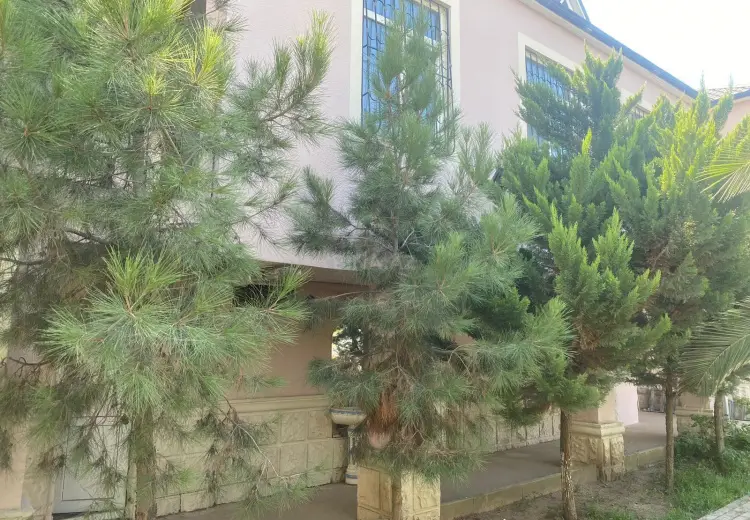 60 sot Torpaq Satılır, Mərdəkan, Xəzər, Bakı