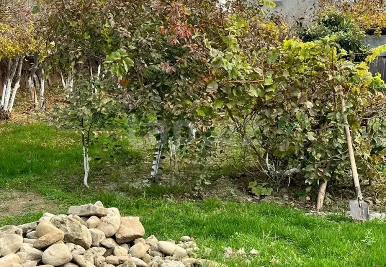0 m² Obyekt / Ofis , Saray, Abşeron