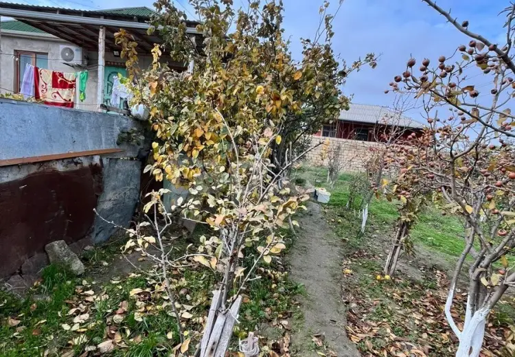 0 m² Obyekt / Ofis , Saray, Abşeron