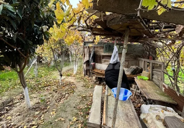0 m² Obyekt / Ofis , Saray, Abşeron