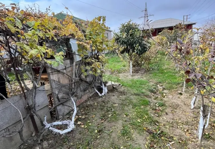 0 m² Obyekt / Ofis , Saray, Abşeron