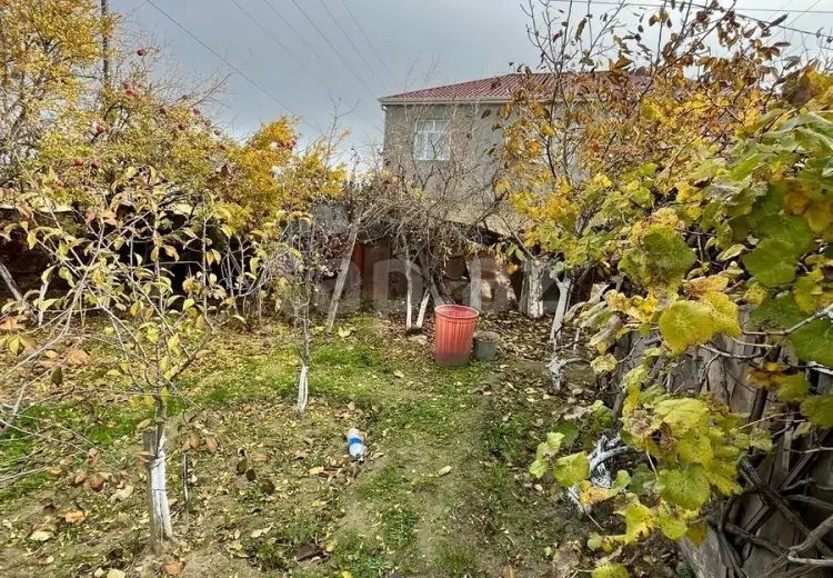 0 m² Obyekt / Ofis , Saray, Abşeron