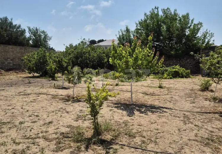 0 m² Obyekt / Ofis , Bilgəh qəs., Sabunçu, Bakı