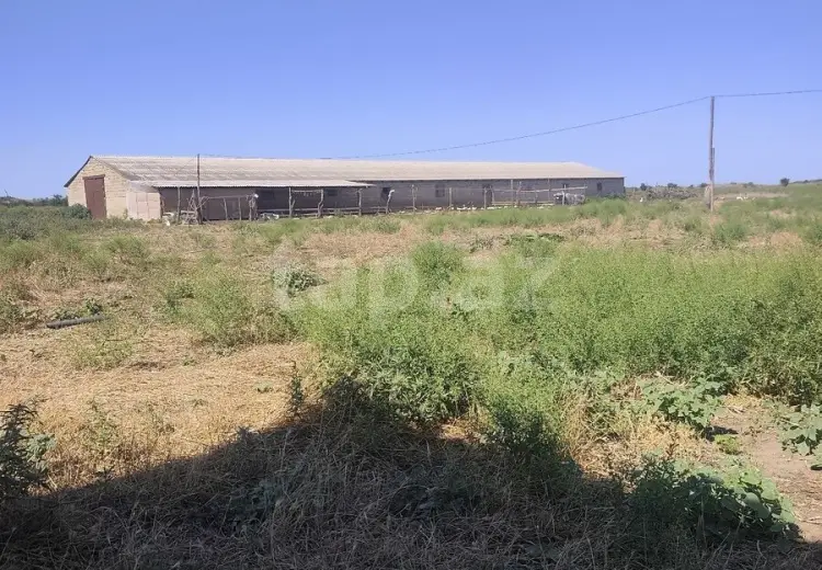 0 m² Obyekt / Ofis , Xaçmaz