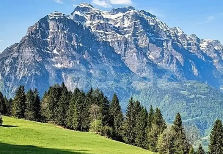 0 m² Obyekt / Ofis , Qəbələ