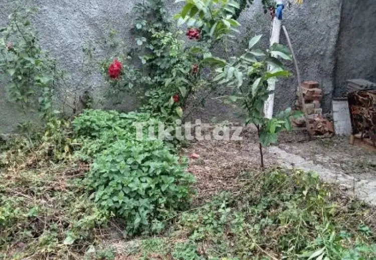 3 otaqlı mənzil Satılır,