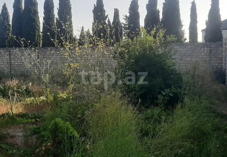 0 m² Obyekt / Ofis , Albalı qəs., Sabunçu, Bakı