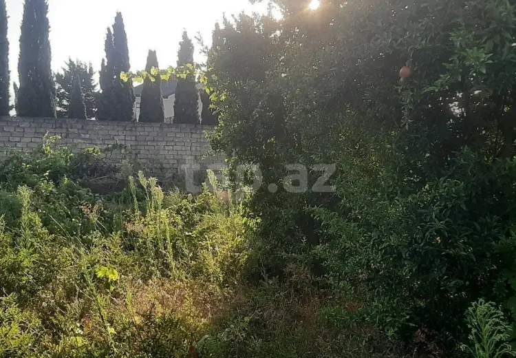 0 m² Obyekt / Ofis , Albalı qəs., Sabunçu, Bakı
