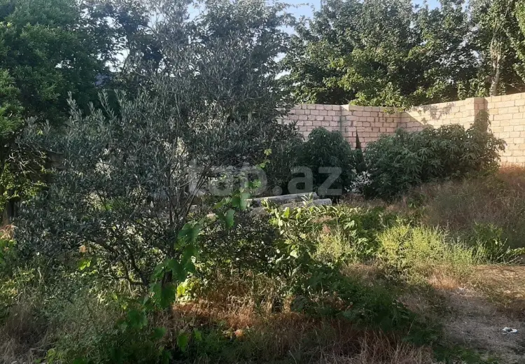 0 m² Obyekt / Ofis , Albalı qəs., Sabunçu, Bakı