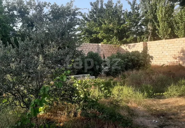 0 m² Obyekt / Ofis , Albalı qəs., Sabunçu, Bakı