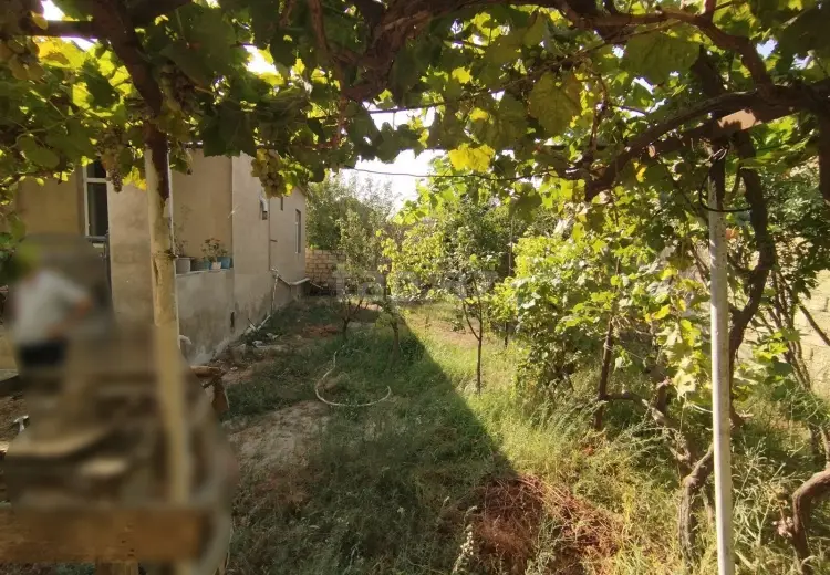 3 otaqlı mənzil , Sumqayıt