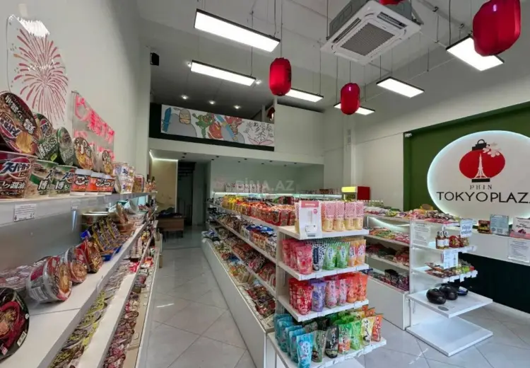 110 m² Obyekt / Ofis Kirayə (aylıq), Nəsimi, Bakı