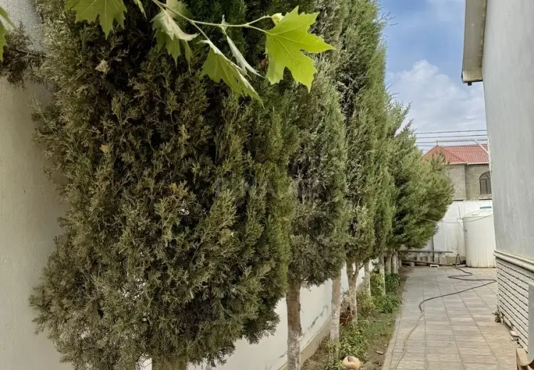 3 otaqlı mənzil Satılır, Nardaran qəs., Sabunçu, Bakı