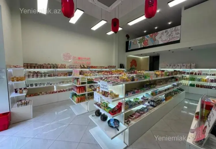 110 m² Obyekt / Ofis Kirayə (aylıq), Nəsimi, Bakı