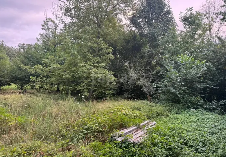 0 m² Obyekt / Ofis , Qəbələ