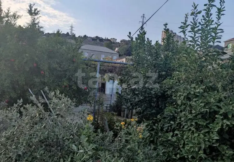 0 m² Obyekt / Ofis , Zığ qəs., Suraxanı, Bakı