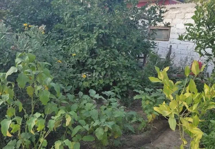 4.8 sot Torpaq Satılır, Zığ qəs., Suraxanı, Bakı