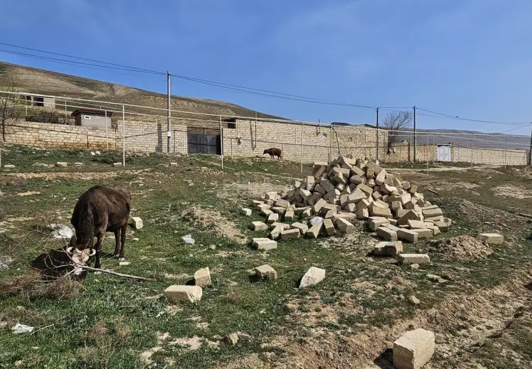2 sot Torpaq Satılır, Qobu, Abşeron
